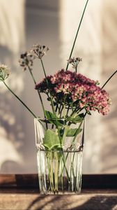 Preview wallpaper flowers, glass, vase