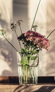 Preview wallpaper flowers, glass, vase