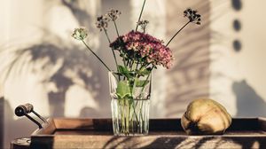 Preview wallpaper flowers, glass, vase