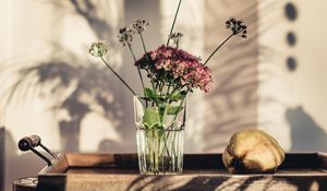 Preview wallpaper flowers, glass, vase