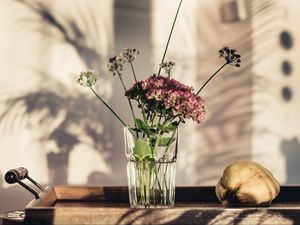 Preview wallpaper flowers, glass, vase