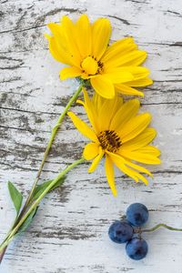 Preview wallpaper flowers, grapes, surface