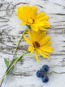 Preview wallpaper flowers, grapes, surface