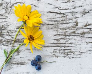 Preview wallpaper flowers, grapes, surface