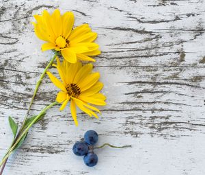 Preview wallpaper flowers, grapes, surface