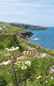 Preview wallpaper flowers, grass, landscape, coast, sea