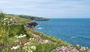 Preview wallpaper flowers, grass, landscape, coast, sea