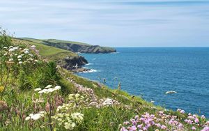 Preview wallpaper flowers, grass, landscape, coast, sea