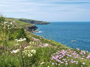 Preview wallpaper flowers, grass, landscape, coast, sea