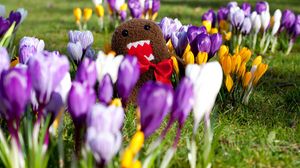 Preview wallpaper flowers, grass, toy