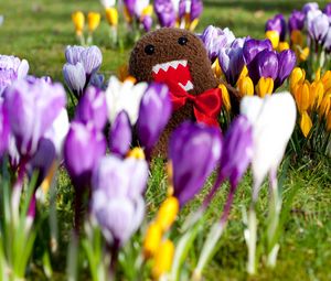 Preview wallpaper flowers, grass, toy