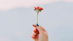 Preview wallpaper flowers, hand, focus, manicure
