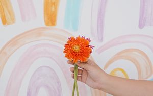 Preview wallpaper flowers, hand, minimalism