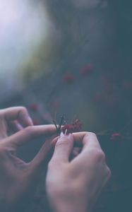 Preview wallpaper flowers, hands, fingers, macro