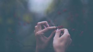 Preview wallpaper flowers, hands, fingers, macro