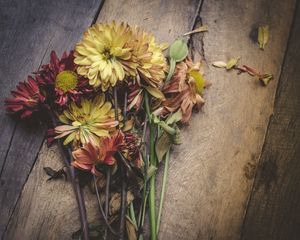 Preview wallpaper flowers, herbarium, bouquet