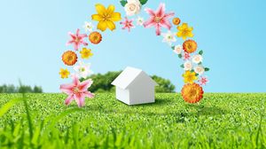 Preview wallpaper flowers, home, environment