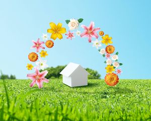 Preview wallpaper flowers, home, environment