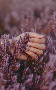 Preview wallpaper flowers, inflorescences, purple, hand, fingers