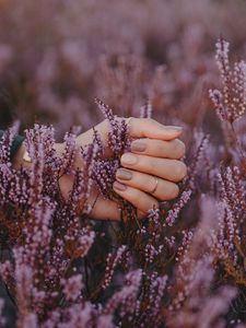 Preview wallpaper flowers, inflorescences, purple, hand, fingers