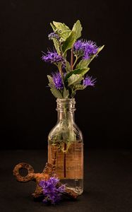 Preview wallpaper flowers, leaves, bottle, water
