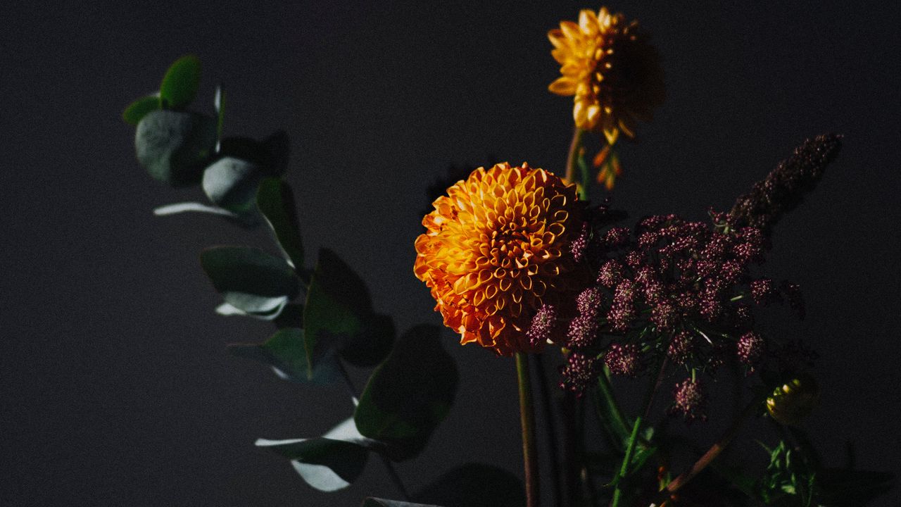 Wallpaper flowers, leaves, bouquet, dark