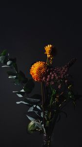 Preview wallpaper flowers, leaves, bouquet, dark