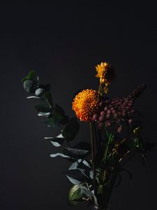Preview wallpaper flowers, leaves, bouquet, dark