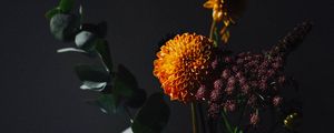 Preview wallpaper flowers, leaves, bouquet, dark