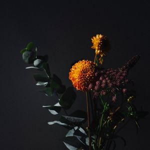 Preview wallpaper flowers, leaves, bouquet, dark