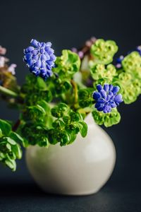 Preview wallpaper flowers, leaves, bouquet, vase