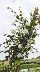 Preview wallpaper flowers, leaves, branches, wreath