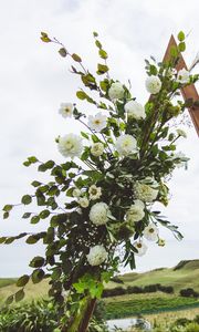 Preview wallpaper flowers, leaves, branches, wreath