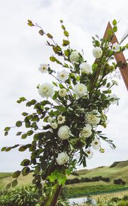 Preview wallpaper flowers, leaves, branches, wreath