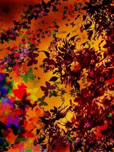 Preview wallpaper flowers, leaves, butterflies, creativity, autumn, mood