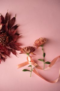 Preview wallpaper flowers, leaves, ribbon, decoration