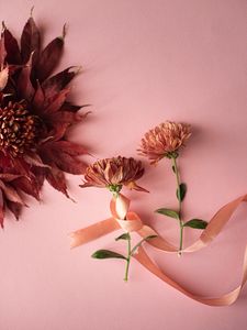 Preview wallpaper flowers, leaves, ribbon, decoration