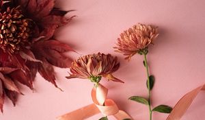 Preview wallpaper flowers, leaves, ribbon, decoration