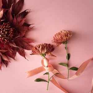 Preview wallpaper flowers, leaves, ribbon, decoration