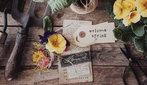 Preview wallpaper flowers, leaves, thread, wooden