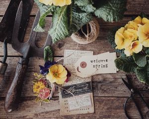 Preview wallpaper flowers, leaves, thread, wooden