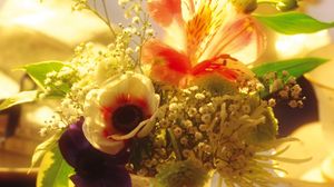 Preview wallpaper flowers, lilies, flower, glass, light