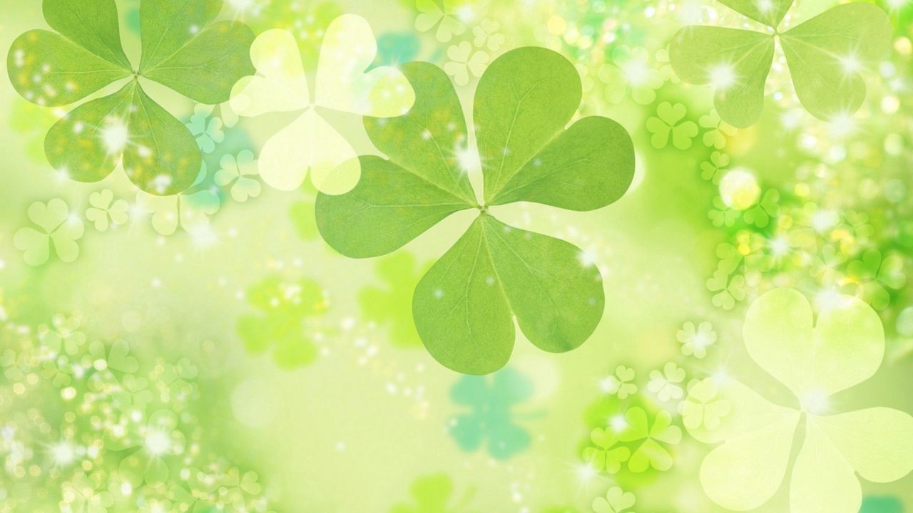 Wallpaper flowers, luster, surface, radiance, clover