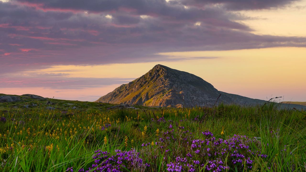 Wallpaper flowers, mountain, valley, grass, landscape