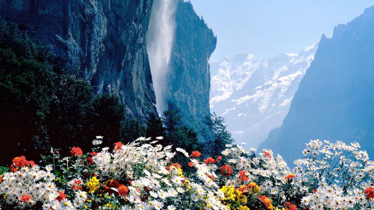 Wallpaper flowers, mountains, cliff