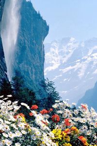 Preview wallpaper flowers, mountains, cliff