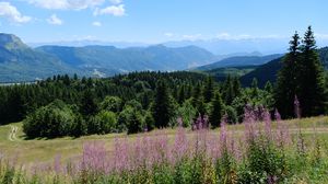 Preview wallpaper flowers, mountains, forest, trees, trail