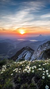 Preview wallpaper flowers, mountains, view, landscape, sunrise