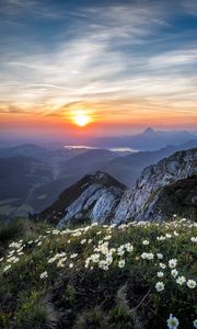 Preview wallpaper flowers, mountains, view, landscape, sunrise