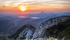 Preview wallpaper flowers, mountains, view, landscape, sunrise